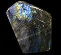 Lot: Lbs Free-Standing Polished Labradorite - Pieces #77654-4